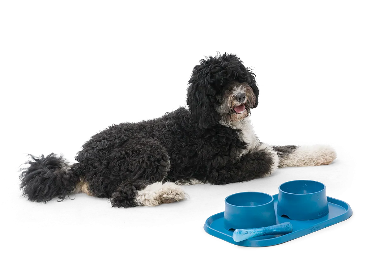 Dog Food and Drink Non-Slip Eco Sustainable Placemat: Seaflex Marine