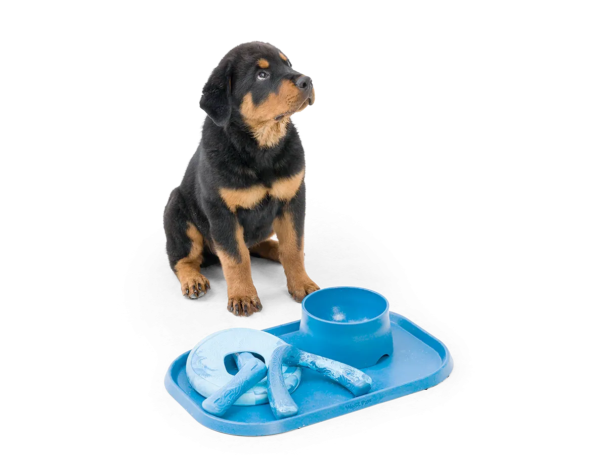 Dog Food and Drink Non-Slip Eco Sustainable Placemat: Seaflex Marine