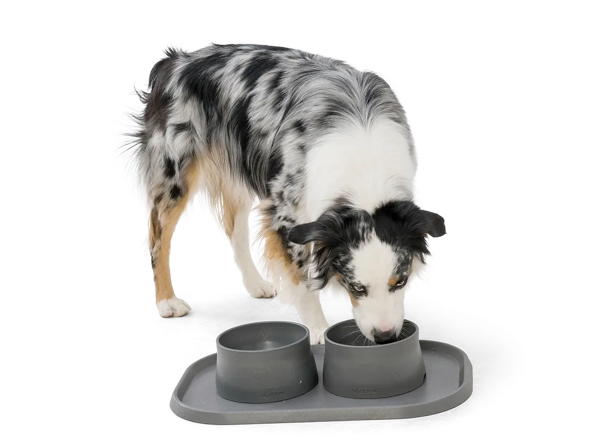 Dog Food and Drink Non-Slip Eco Sustainable Placemat: Seaflex Marine
