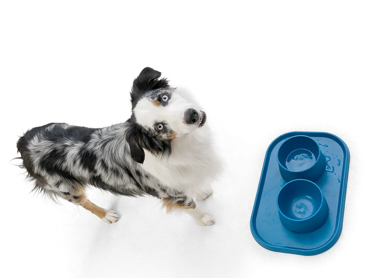 Dog Food and Drink Non-Slip Eco Sustainable Placemat: Seaflex Marine